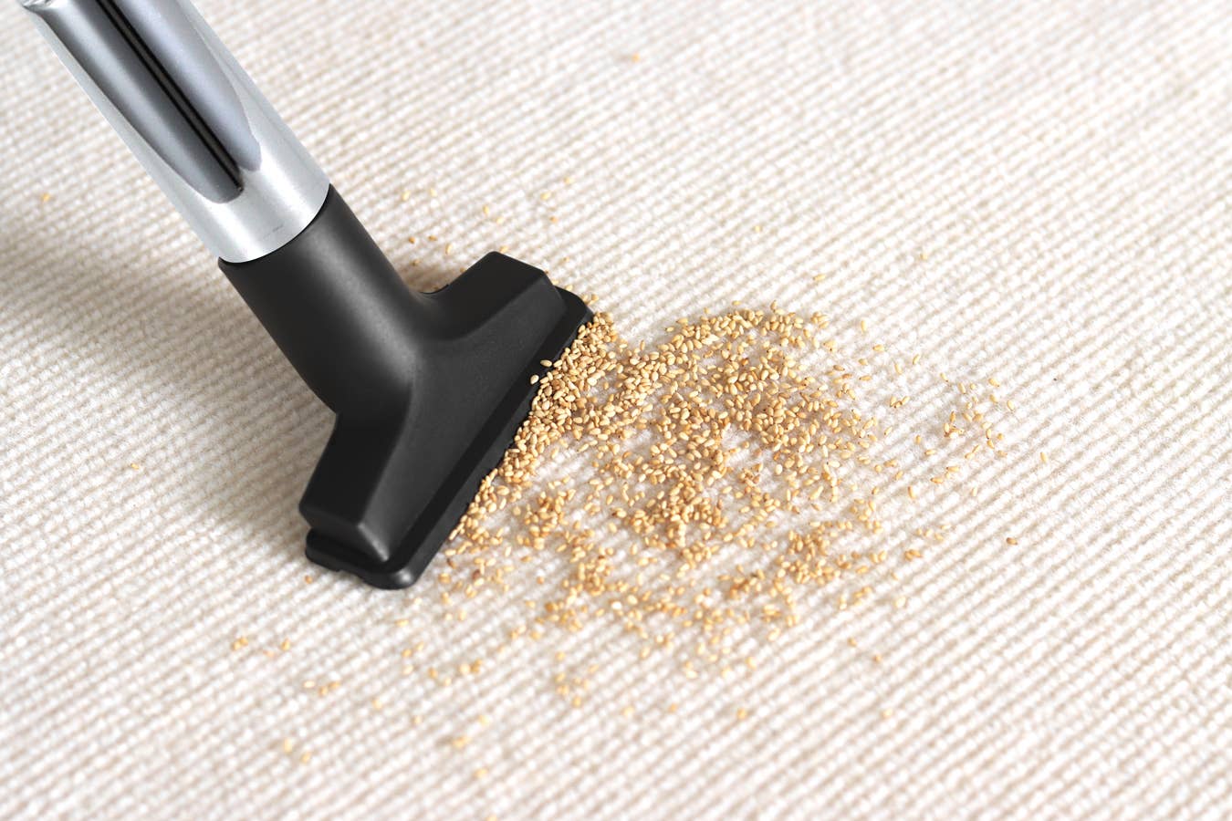 Swiss Pro+ - Venta al por mayor Aspiradora - Aspiradora ciclónica roja Swiss Pro+12