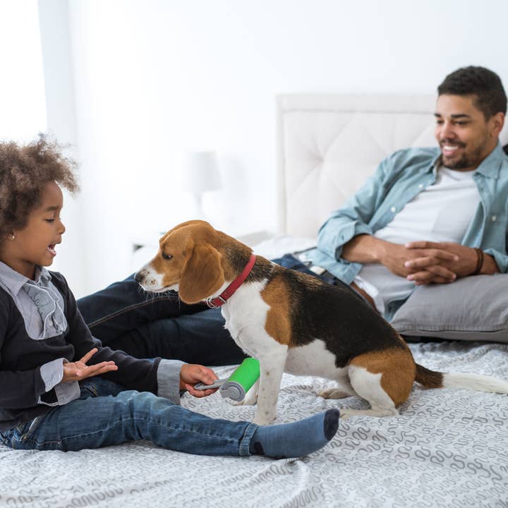 Cabezal/Rodillo Mediano Go Sticky para venta al por mayor de Easy Living Products