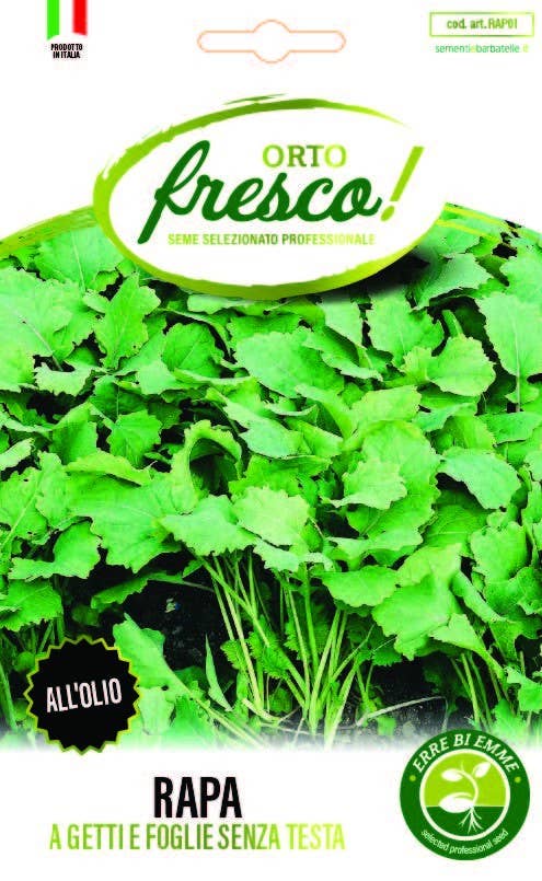 Sementi & Barbatelle - Wholesale Plant Seeds - Turnip with Shoots and Leaves Without Head0