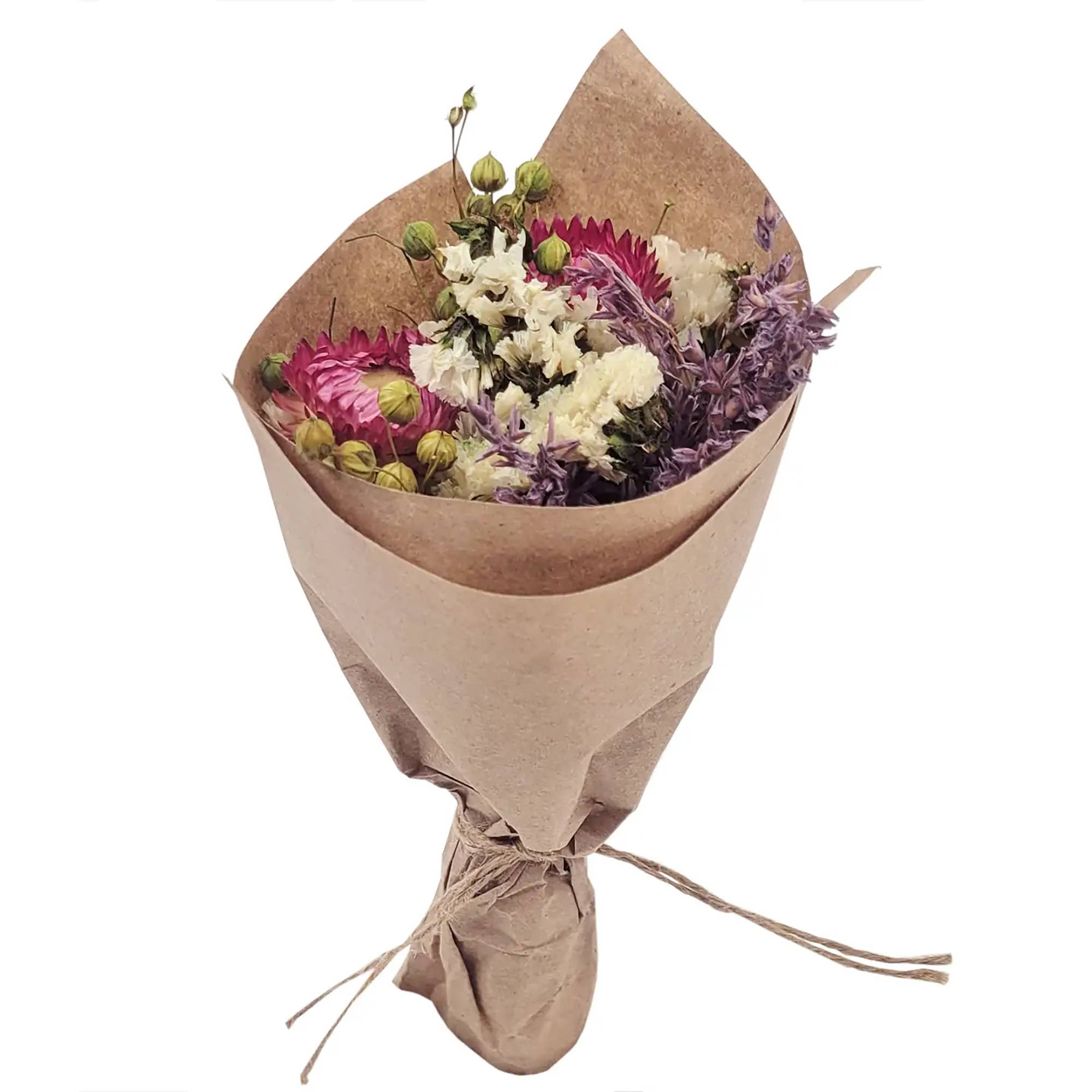 Andaluca - Wholesale Dried/Pressed Flowers - MINI Strawflower & Larkspur Bouquet Bundle #2191