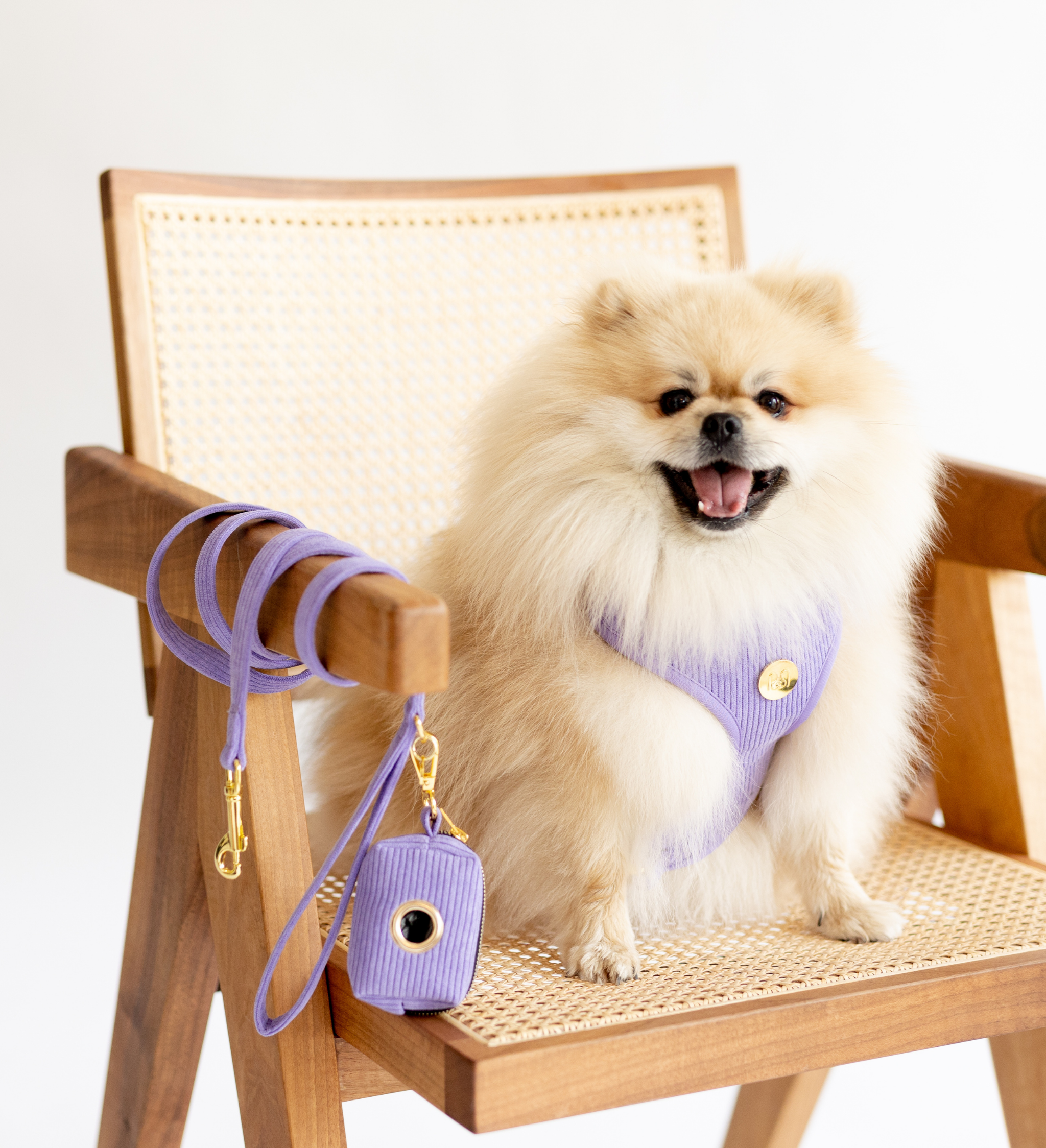 Moniandme – Großhandel Haustiergeschirr – Hund – Weiches Hundegeschirr aus Pastell-lila Cord2