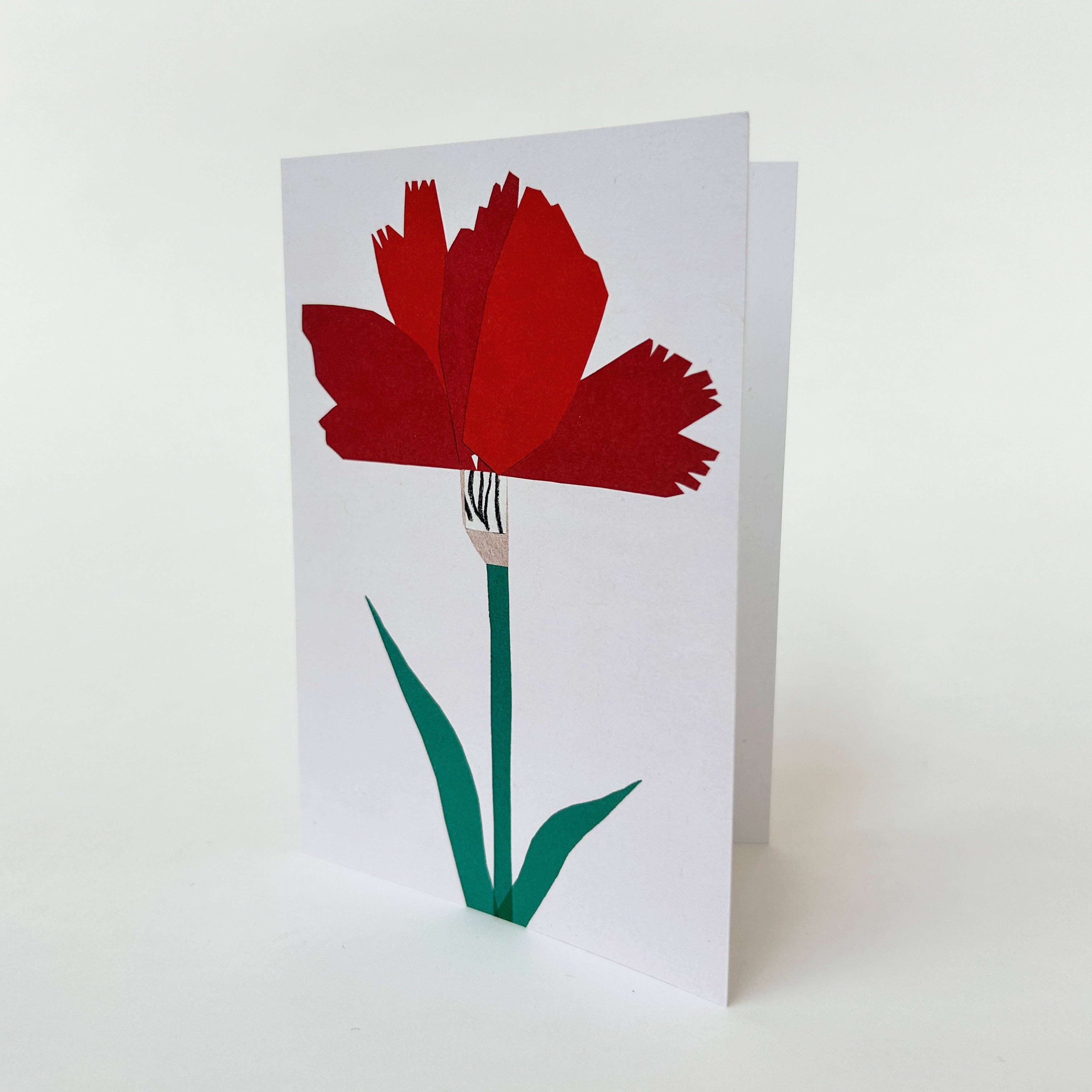 Cait McEniff - Wholesale Everyday Greeting Card - Carnation Greetings Card1