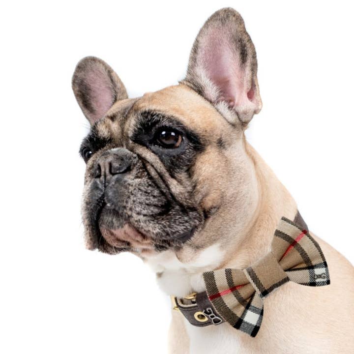 FUNKY DOG – Großhandel Fliege für Haustiere – Hund – Hundehalsband mit Fliege im Burberry-Stil, braunes Karo, für kleine & große Hunde