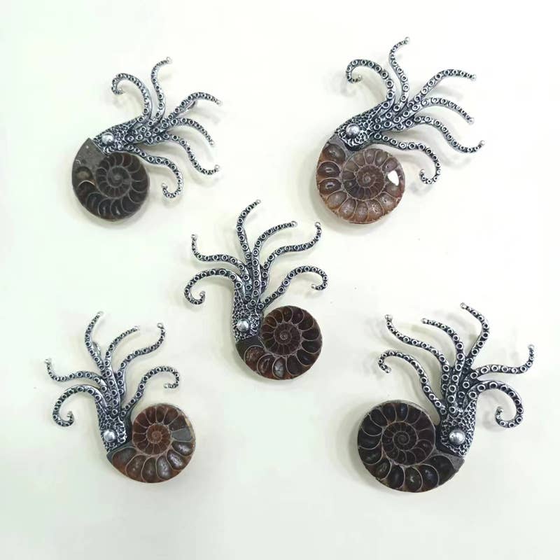 Tourtiwi - Venta al por mayor Broches - Colgantes de Broche Diseñados con Ammonite Prehistórico y Pulpo6