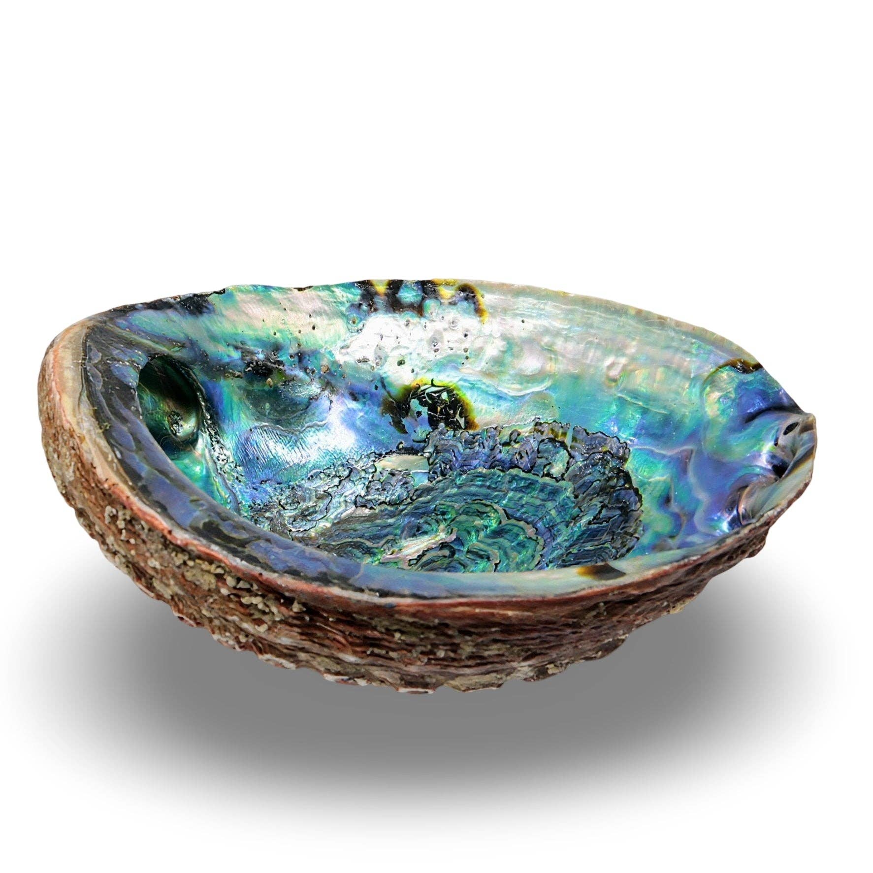 Arômes & Évasions - Wholesale Smudge Plate - Smudging - Abalone Shell3