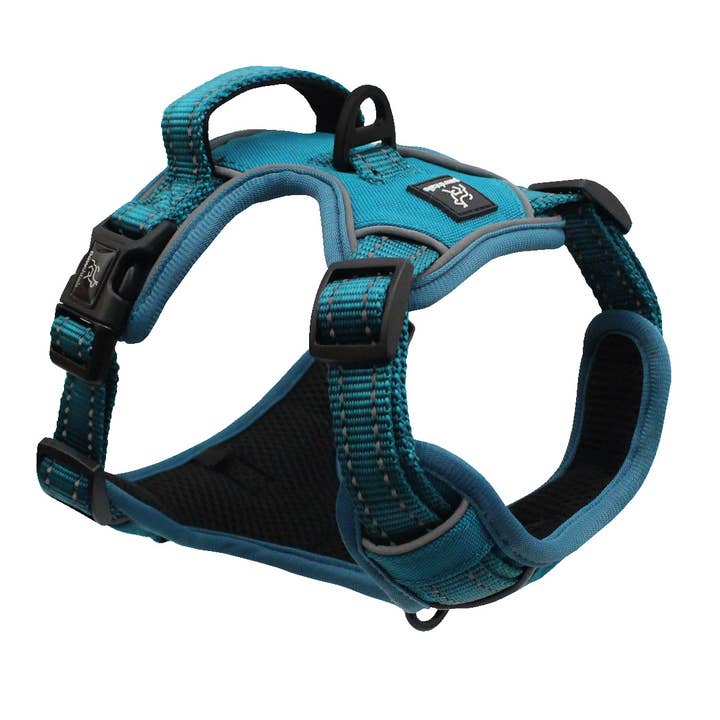 Pawshtails - Wholesale Pet Harness - Dog - Teal Anti-Pull Dog Harness