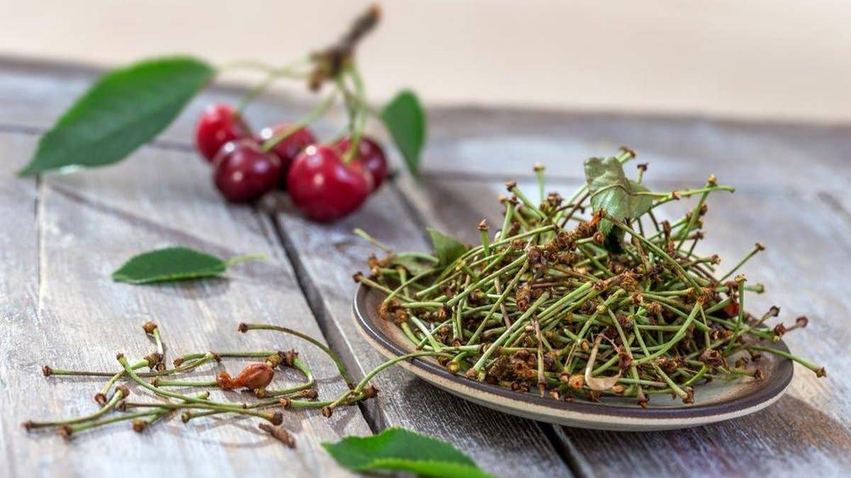 CADUCEUS kruidenapotheek - Wholesale Loose Tea - Cherry stalks (Prunus cerasus) 1kg1