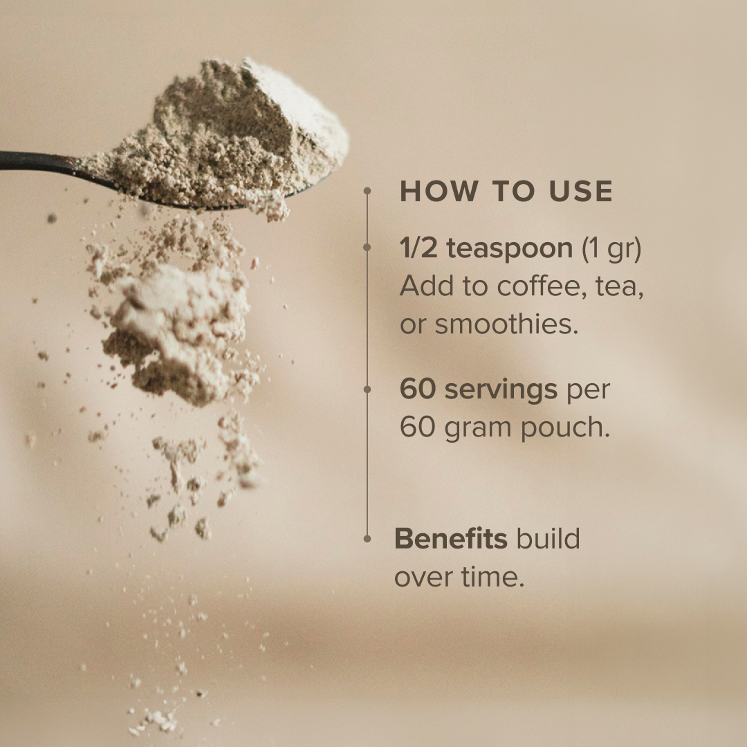 Bloomable Natural Products - Wholesale Protein/Superfood Powder - Lion's Mane Mushroom Extract Powder (60 gr)2