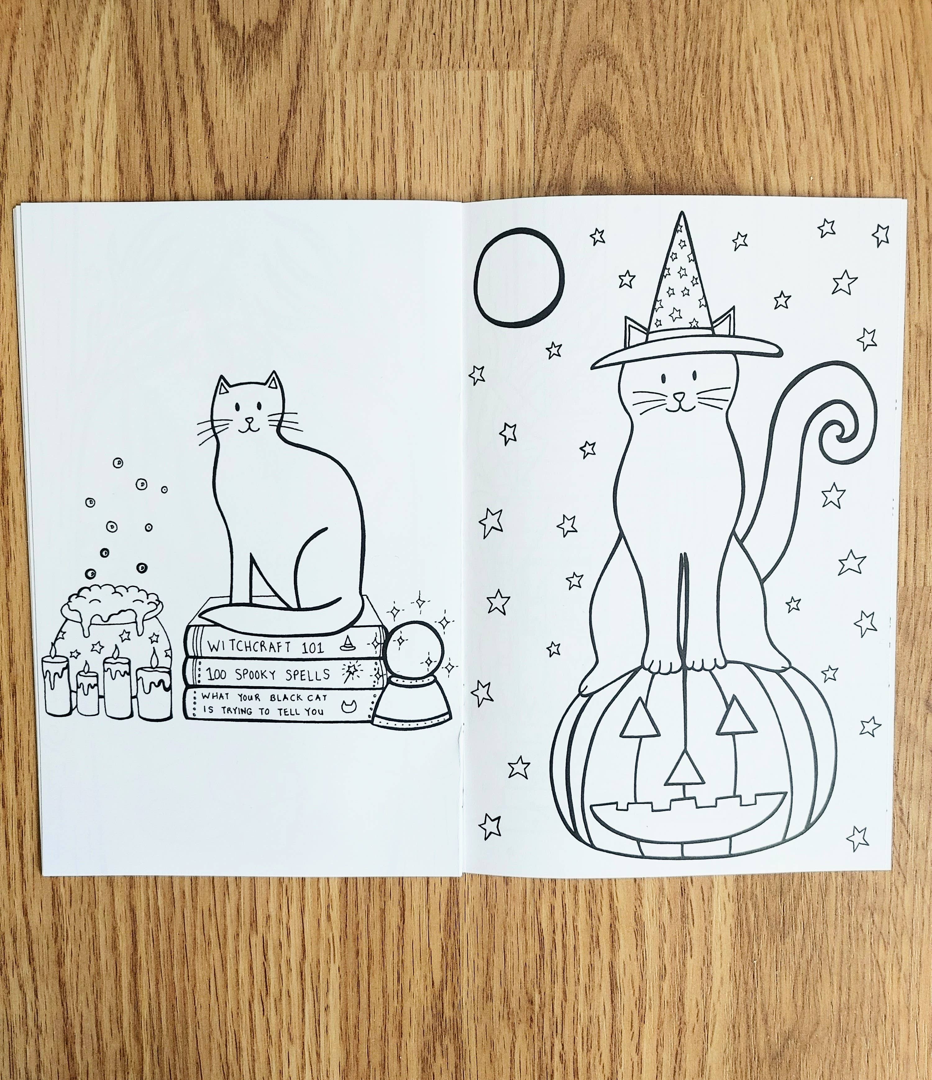 Caroline W Illustration - Wholesale Coloring & Activity Book - Adult - Cat colouring book (5.5 x 8.5 inches, 12 images + covers)3