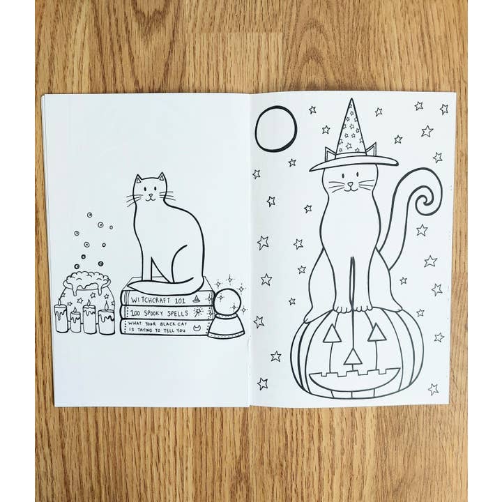 Caroline W Illustration - Wholesale Coloring & Activity Book - Adult - Cat colouring book (5.5 x 8.5 inches, 12 images + covers)3