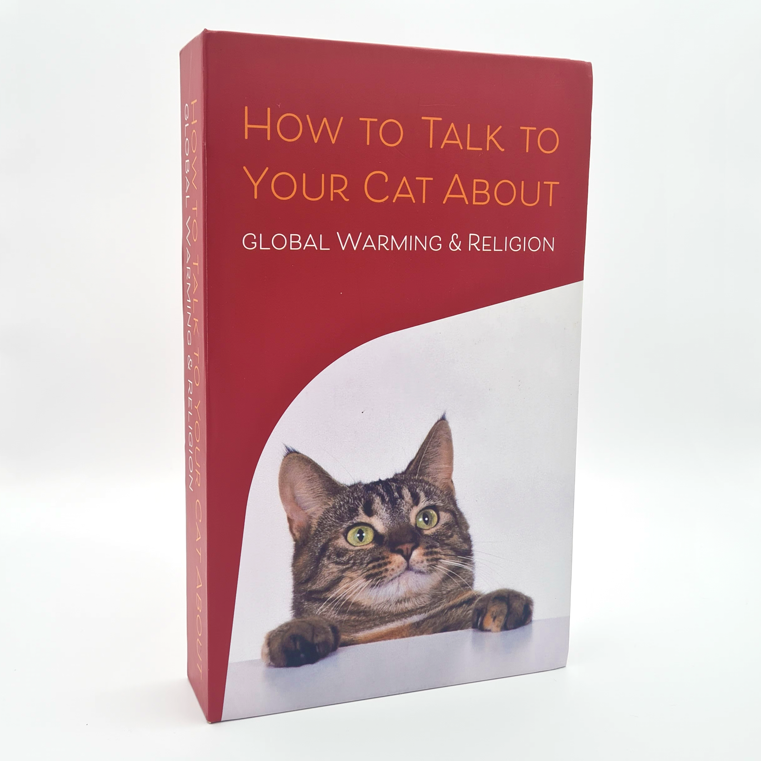 Book Boxes - Wholesale Humor Book - How to Talk to Your Cat About Global Warming & Religion1