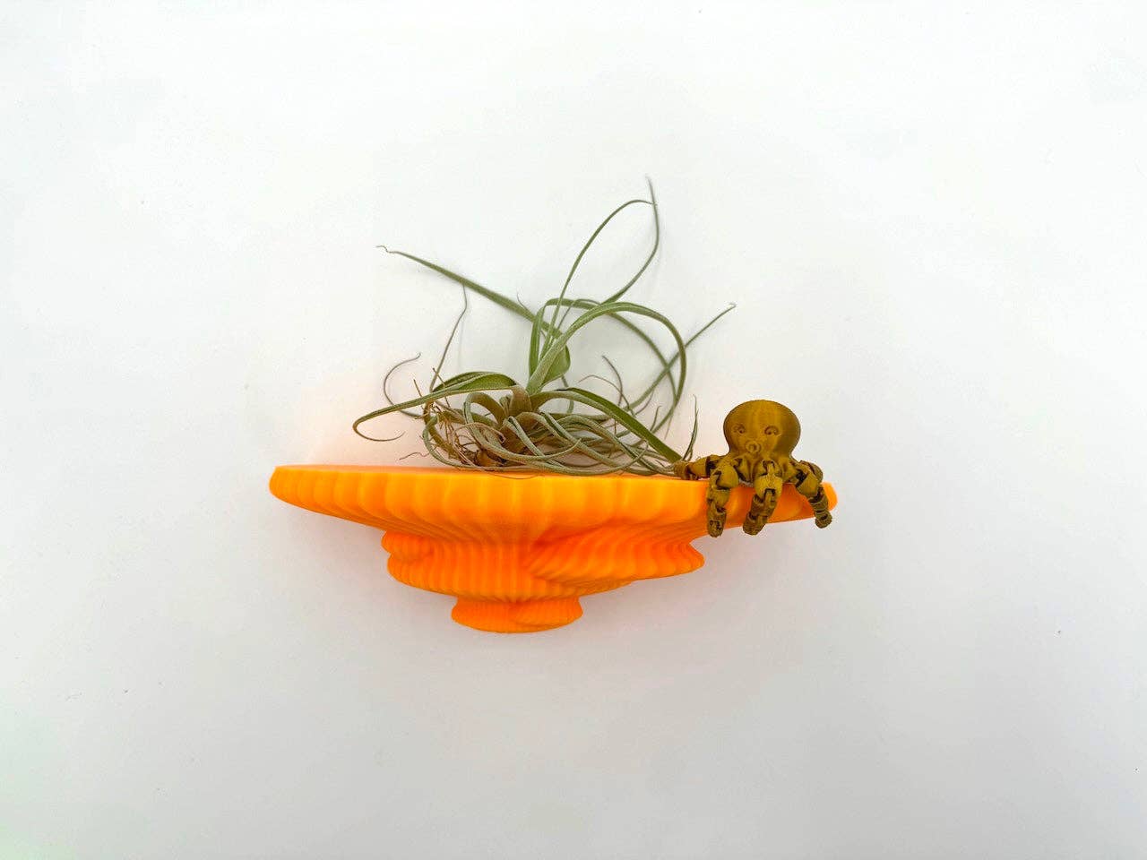 Brehmwood Creative - Wholesale Wall Mounted Shelf - Tinder Glowing Fungi Floating Shelf | Unique Home Decor With Glow-In-The-Dark Design2