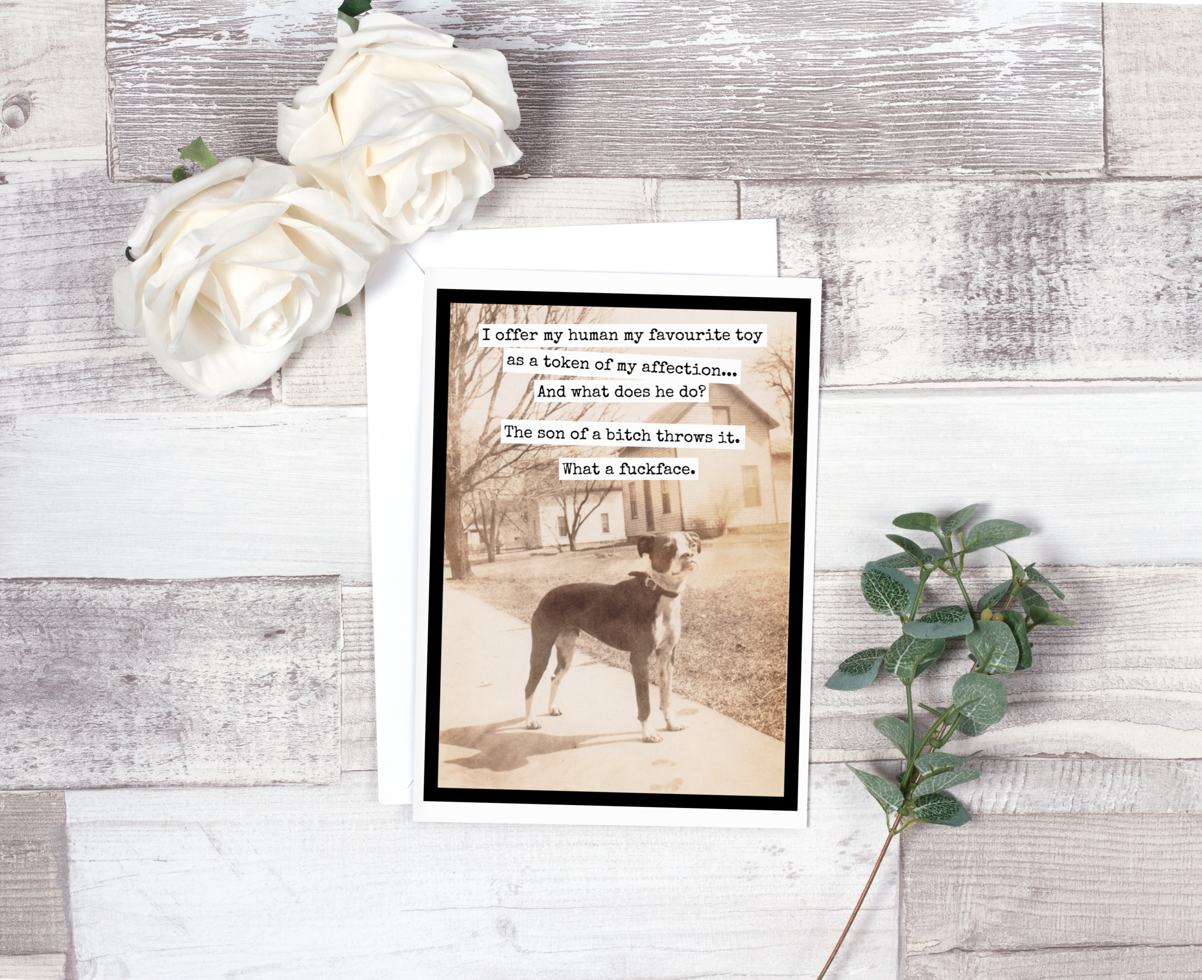 Raven's Rest Studio - Wholesale Gewone wenskaart - Ik bied mijn mens mijn favoriete speeltje aan...2