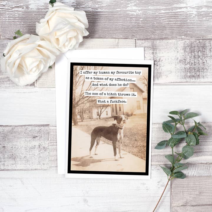 Raven's Rest Studio - Wholesale Everyday Greeting Card - I Offer My Human My Favourite Toy...2