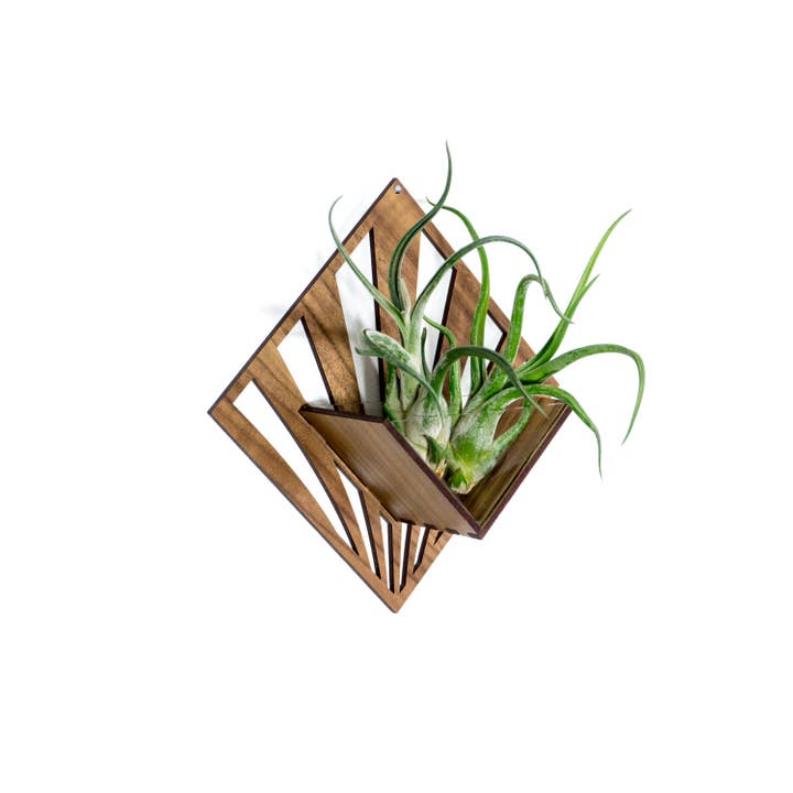 LIGHT RAZOR DESIGN STUDIO - Wholesale Wall planter - Air Plant Holder / Quadrate Wall Hanging Planter 2121