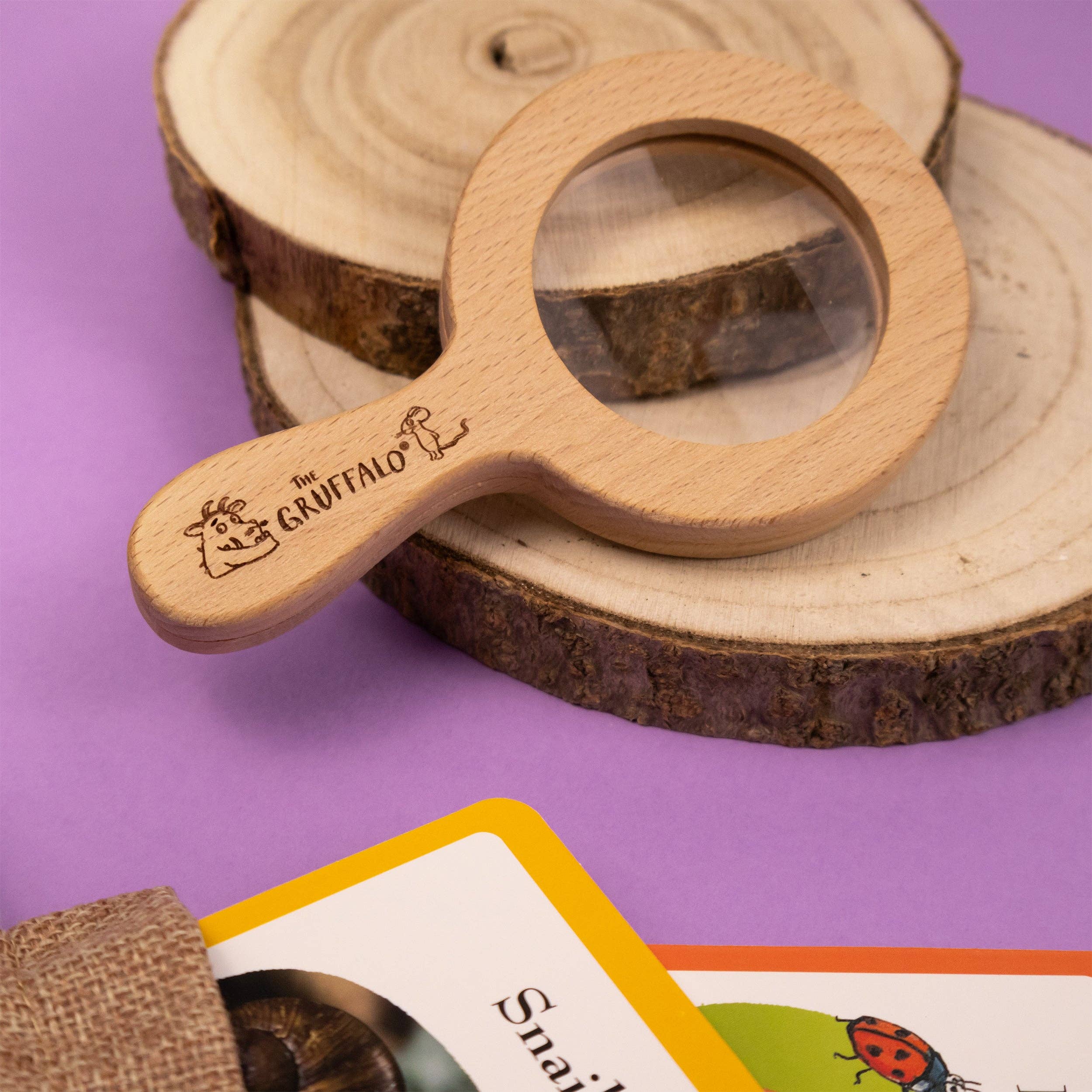 Robert Frederick Ltd – wholesale Toy set – Kids – The Gruffalo Bug Spotter Activity Set5