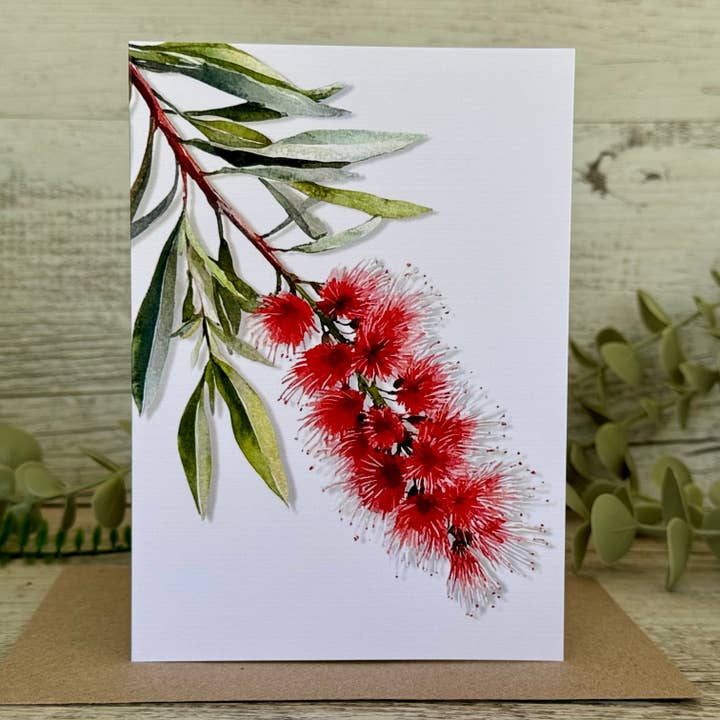 Scattered Seed Co - Wholesale Everyday greeting card - AUSTRALIAN FLORALS Single Stems Blank cards set of 4 - Set A4