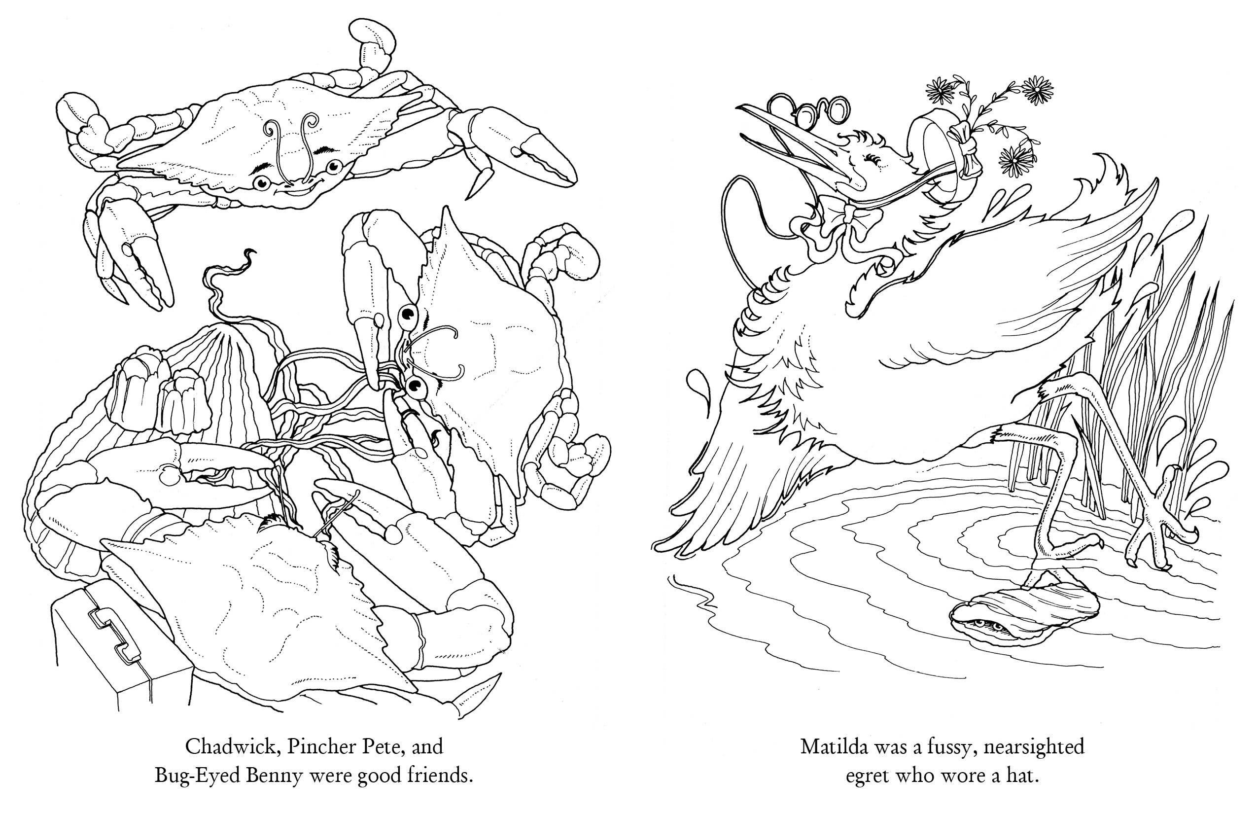 Schiffer Kids - Wholesale Coloring & Activity Book - Kids & Baby - Chadwick Activity Book1