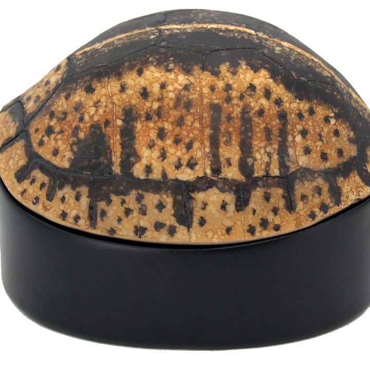Modern World by Contrast Inc. - Wholesale Decorative Box - Yellow Black Turtle Shell Box5