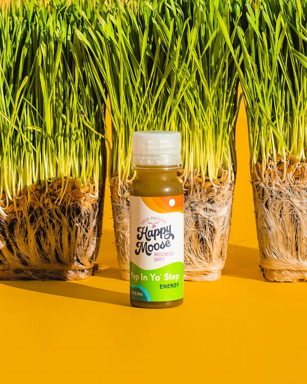 Happy Moose Juice - Wholesale Wellness Juice/Tonic - Wellness Shots - Variety Pack - 1 Case of Each Recipe9