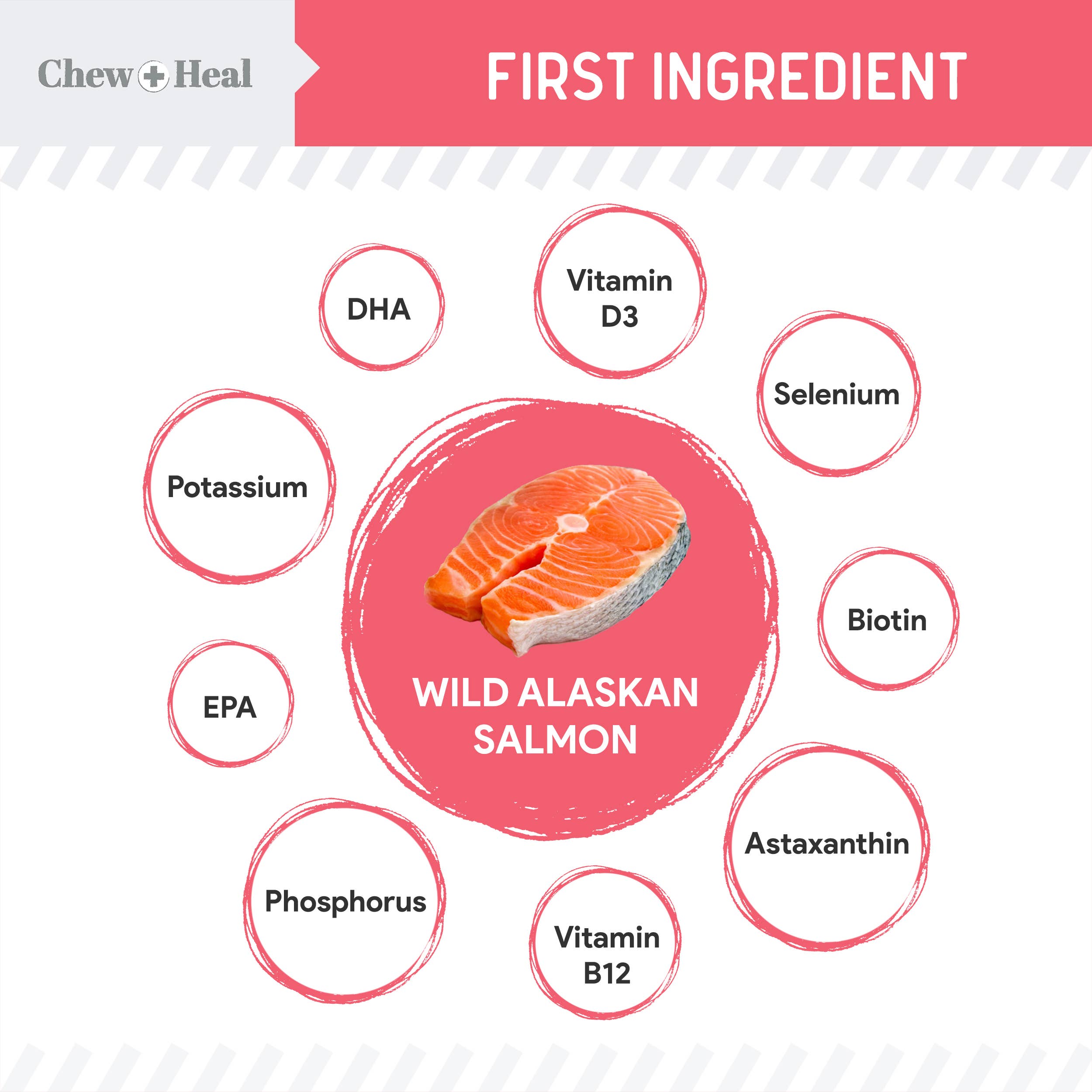 Chew + Heal – Großhandel Leckerlis – Hund – Puppy Wild Alaskan Salmon Limitierte Zutaten Hundesnacks3