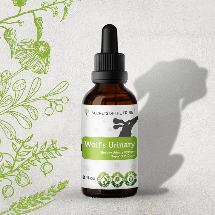 La orina del lobo. Apoyo saludable al sistema urinario en perros para venta al por mayor de Secrets Of The Tribe