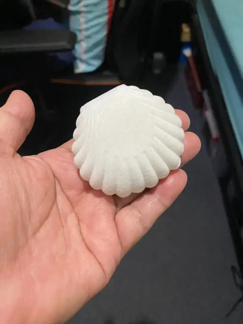 Magnifique Hearts - Vente Boîte/rangement à bijoux - Boîte d'exposition pour boucles d'oreilles et collier en velours forme coquillage4