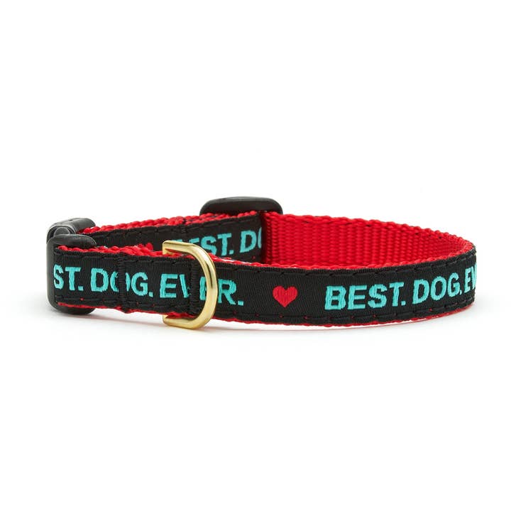Best Dog Ever Small Breed Dog Collar for wholesale by Up Country, Inc.