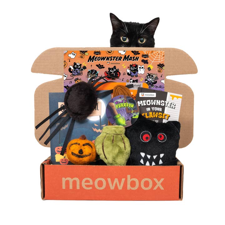 meowbox - Wholesale Pet Toy - Cat - Itsy Bitsy Spipurr Toy