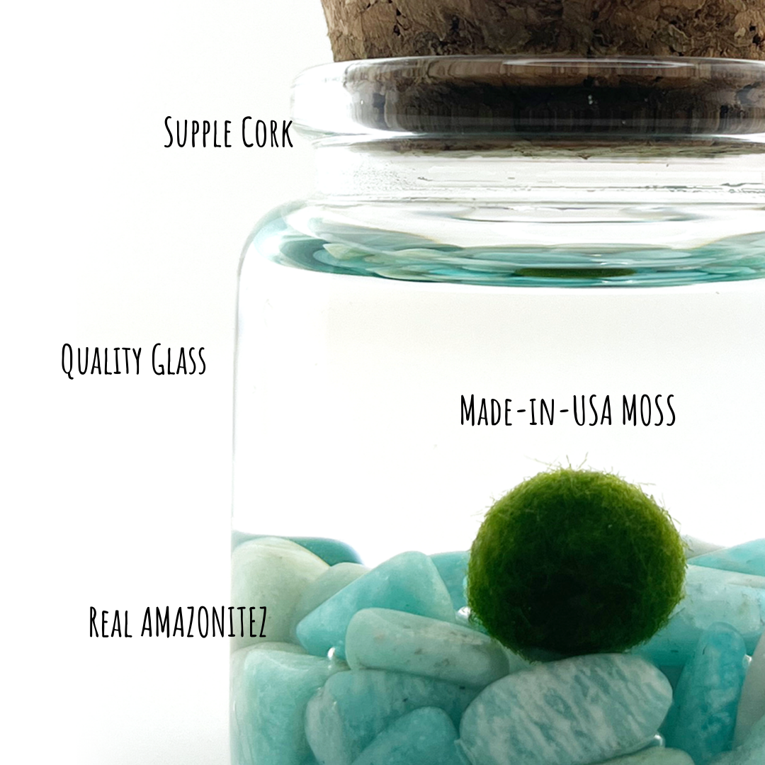 Moss Amigos | Moss Ball Terrariums - Wholesale Live Plant - Small Marimo Moss Ball Terrarium with Amazonite Gemstone3
