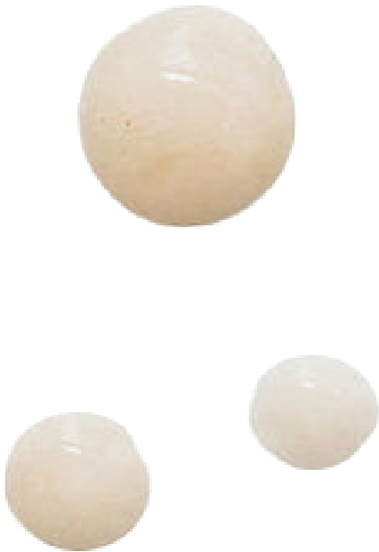 Creation Skin Sanctuary - Vente Crème hydratante pour le visage - MITIS, hydratant botanique2