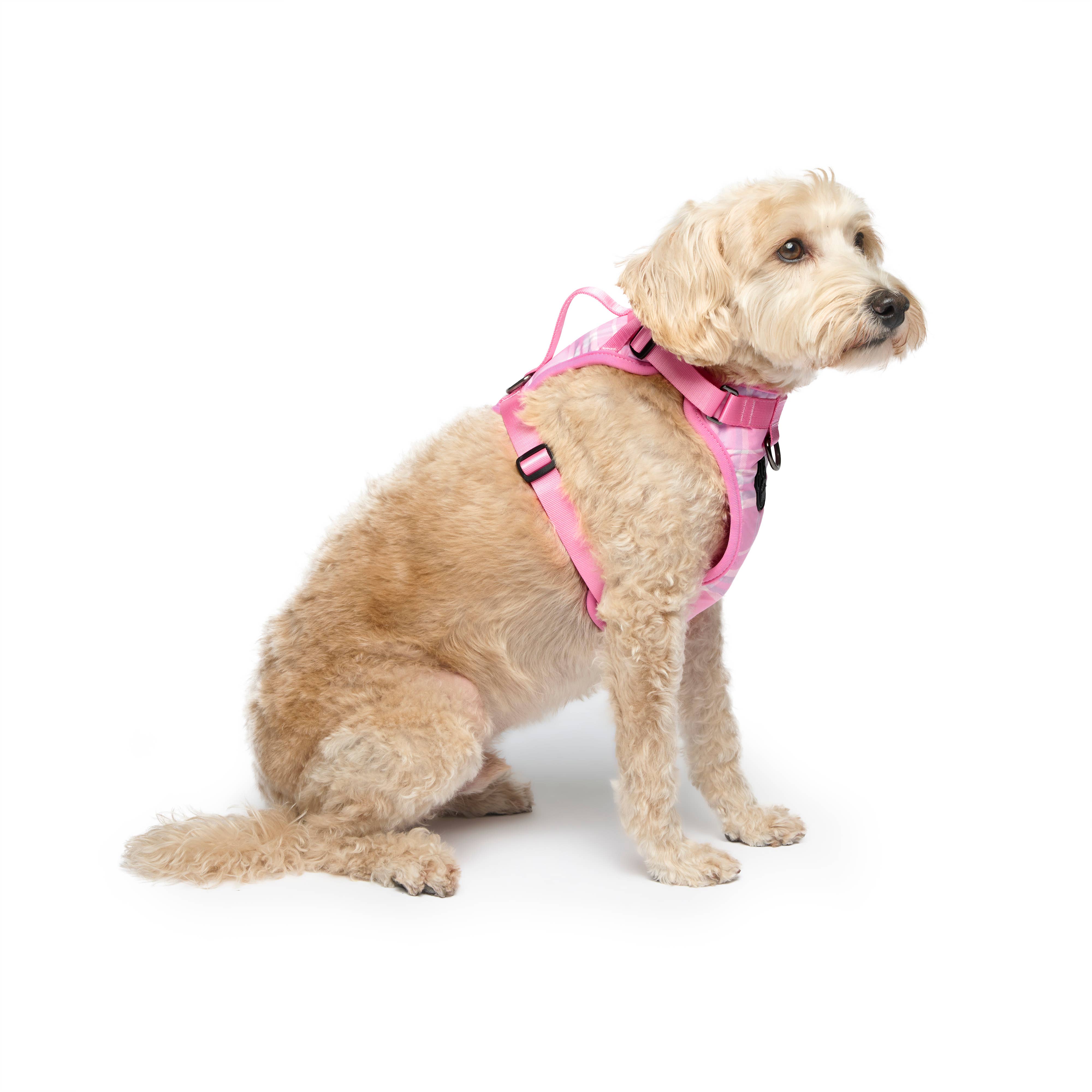 Canada Pooch - Wholesale Pet Harness - Dog - Everything Harness- No-Pull Dog Harness2