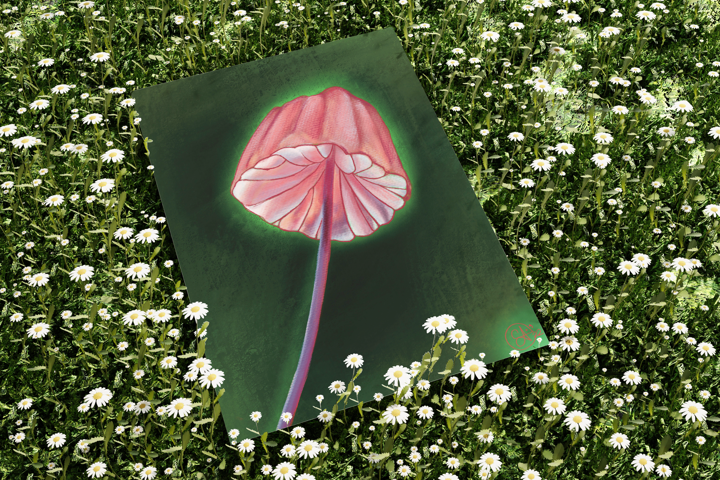 Imaginarium Arts - Wholesale Art Print - Barbiecore Pink Mushroom Fine Art Print 8"x10"3