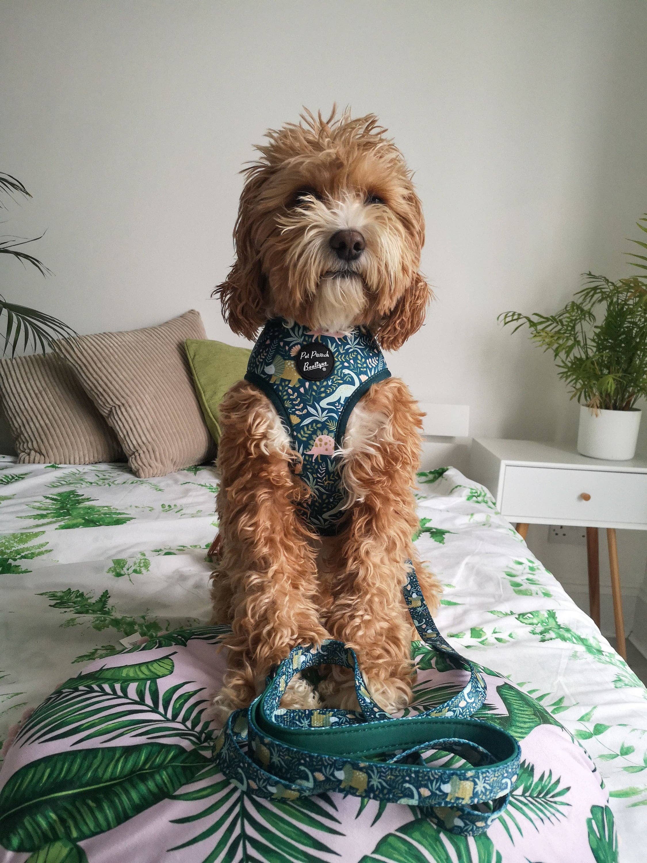 Pet Pooch Boutique - Wholesale Pet Harness - Dog - Dino Rawr Dinosaur Dog Harness With Optional Bow Tie6