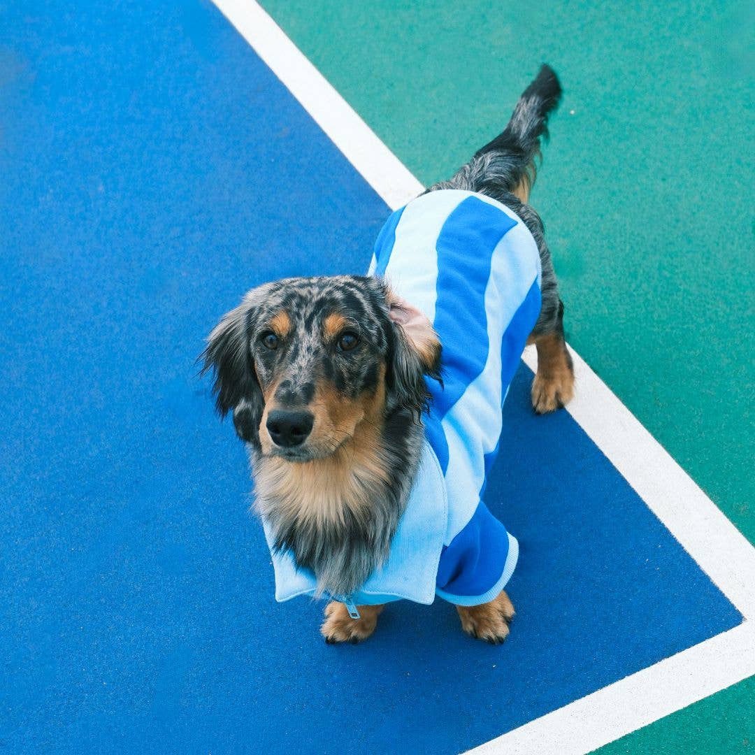 Sunbean - Wholesale Pet Sweater - Dog - Ziggy Cotton Dog Quarter-Zip Pullover7