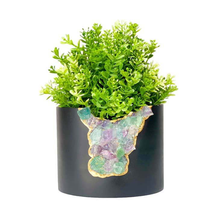 PLANTER GEODE FLUORITE, Planta Cristal de Grande Dimensão por atacado de Planters Made in the USA