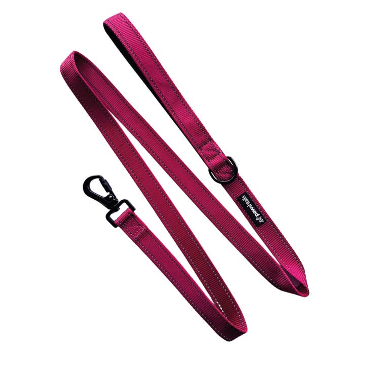 Pink Dog Functional Lead 5ft for wholesale by Pawshtails