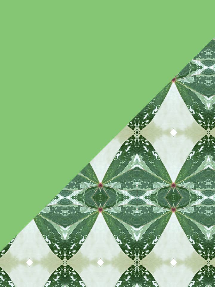 Baai Bodem II voor wholesale door Nomads Swimwear