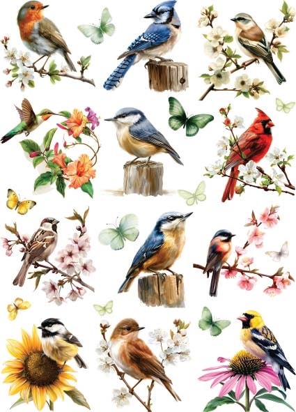 Craft Kreatively - Wholesale Craft Supplies - Garden Birds Decoupage Rice Paper - A3+ - for Crafts0