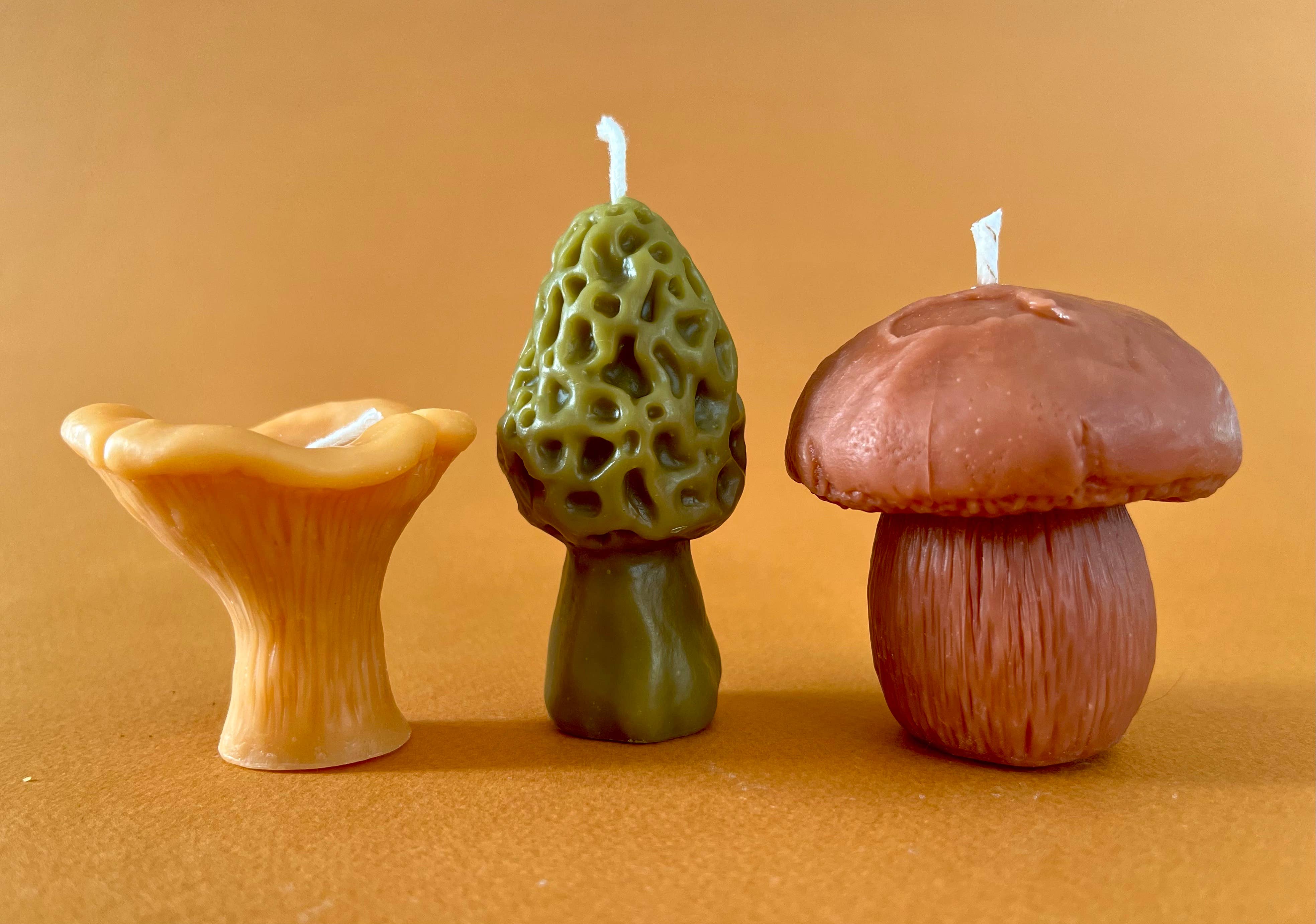 Wicksburgh - Wholesale Novelty Candle - Mushroom Lover Gift Box | Morel, Chanterelle & Pennybun1