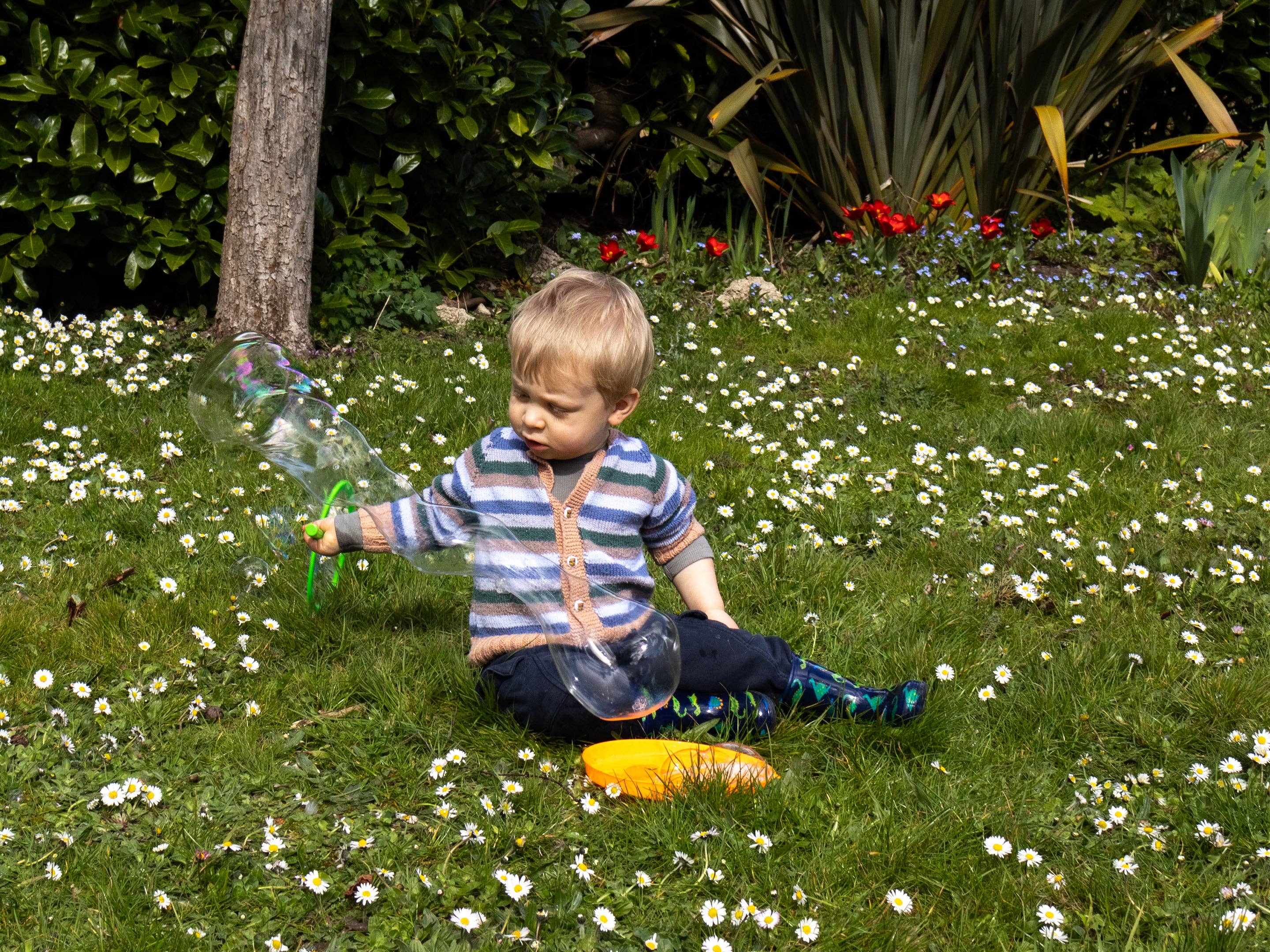 Robert Frederick Ltd - Wholesale Bubble Wand - Kids - Dinosaurs Giant Bubble Maker6