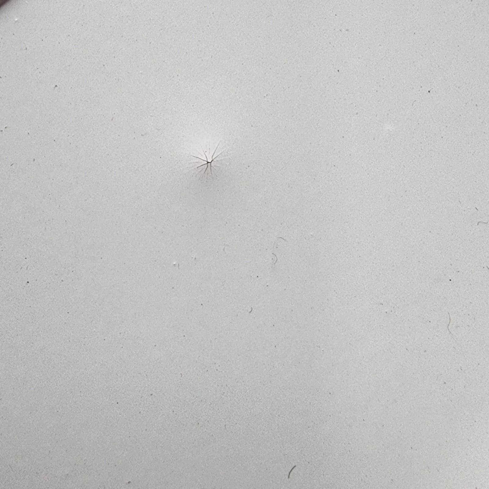 Voglrieder - Wholesale Patio Table - Side table 2nd choice garden table balcony table patio table159