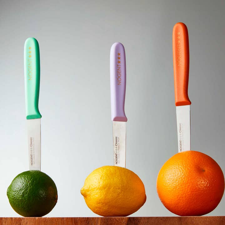 Nogent Knives ā wholesale Kitchen/utility knife ā Paring Knife 9 cm / 3.5" (Polypropylene)1