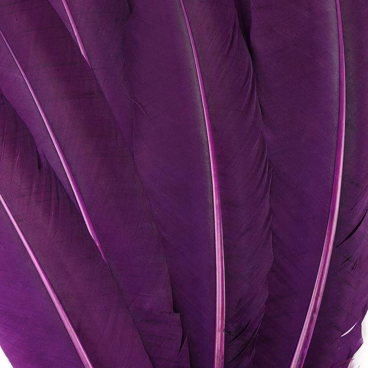 Zucker Feather Products - Wholesale Craft Supplies - Turkey Quills Dyed Feathers - Purple