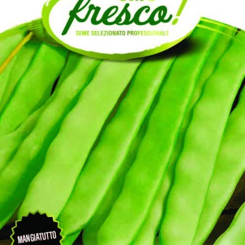 Sementi & Barbatelle - Wholesale Beans - Nassau Dwarf Bean