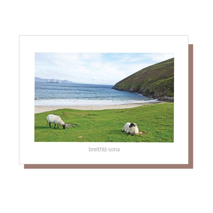 Breithlá Sona (Feliz cumpleaños) - tarjeta de cumpleaños irlandesa para venta al por mayor de Irish Greeting Cards by Catherine Dunne