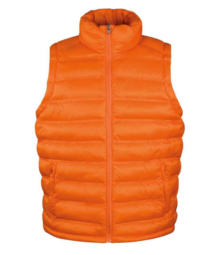 Pierre Francis - Vente Veste sans manches – homme - Résultat - Gilet Urban Ice Bird6