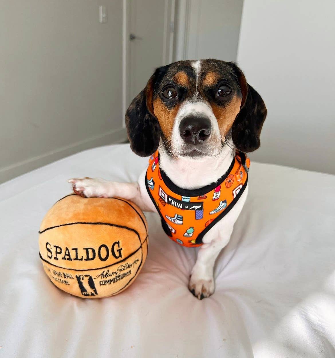 Mina + Pup - Wholesale Pet Harness - Dog - Got Game? Basketball and Sports Adjustable Dog Cat Harness3