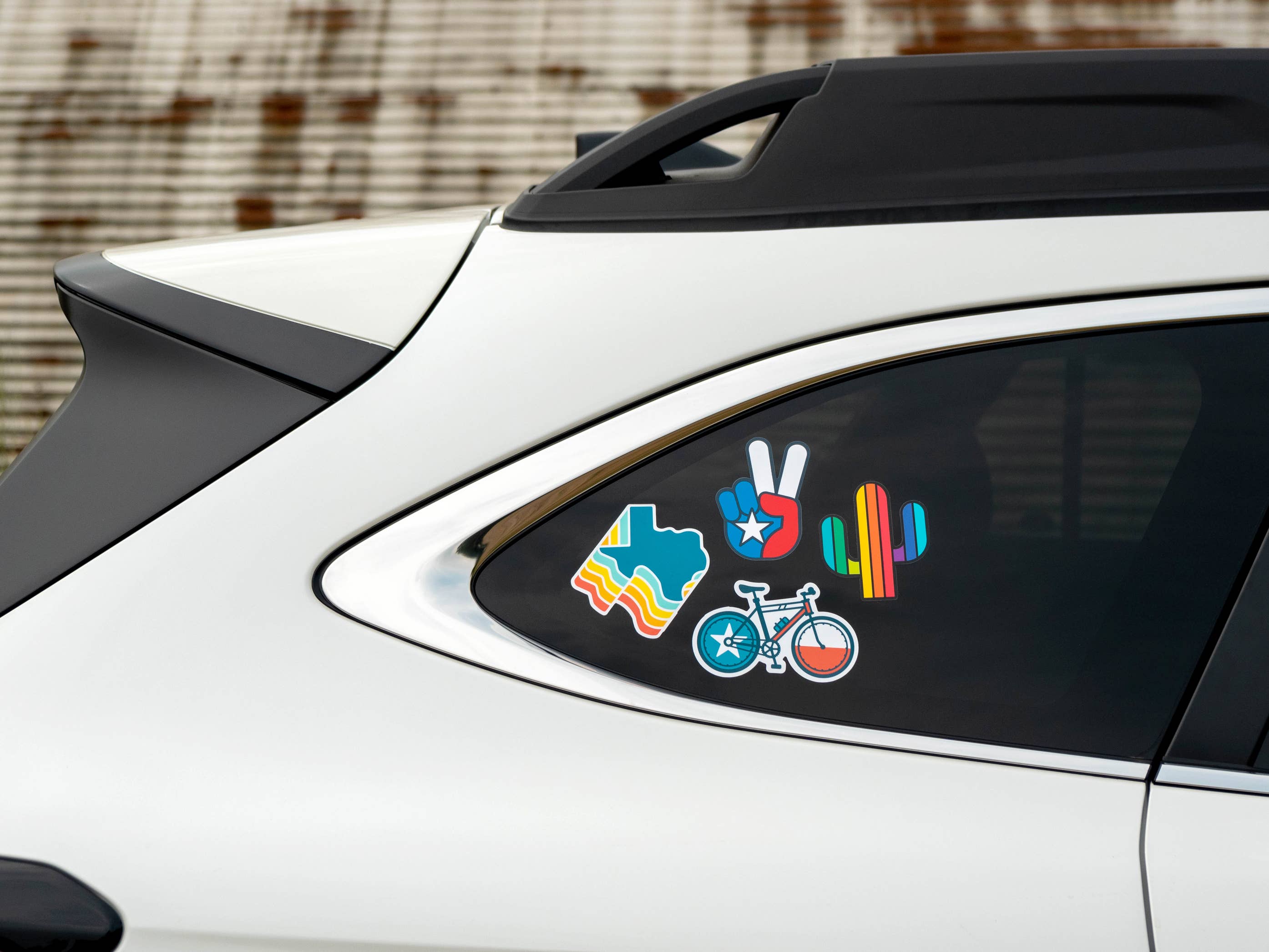 ROBNKO - Wholesale Sticker - Retro Cactus Sticker2