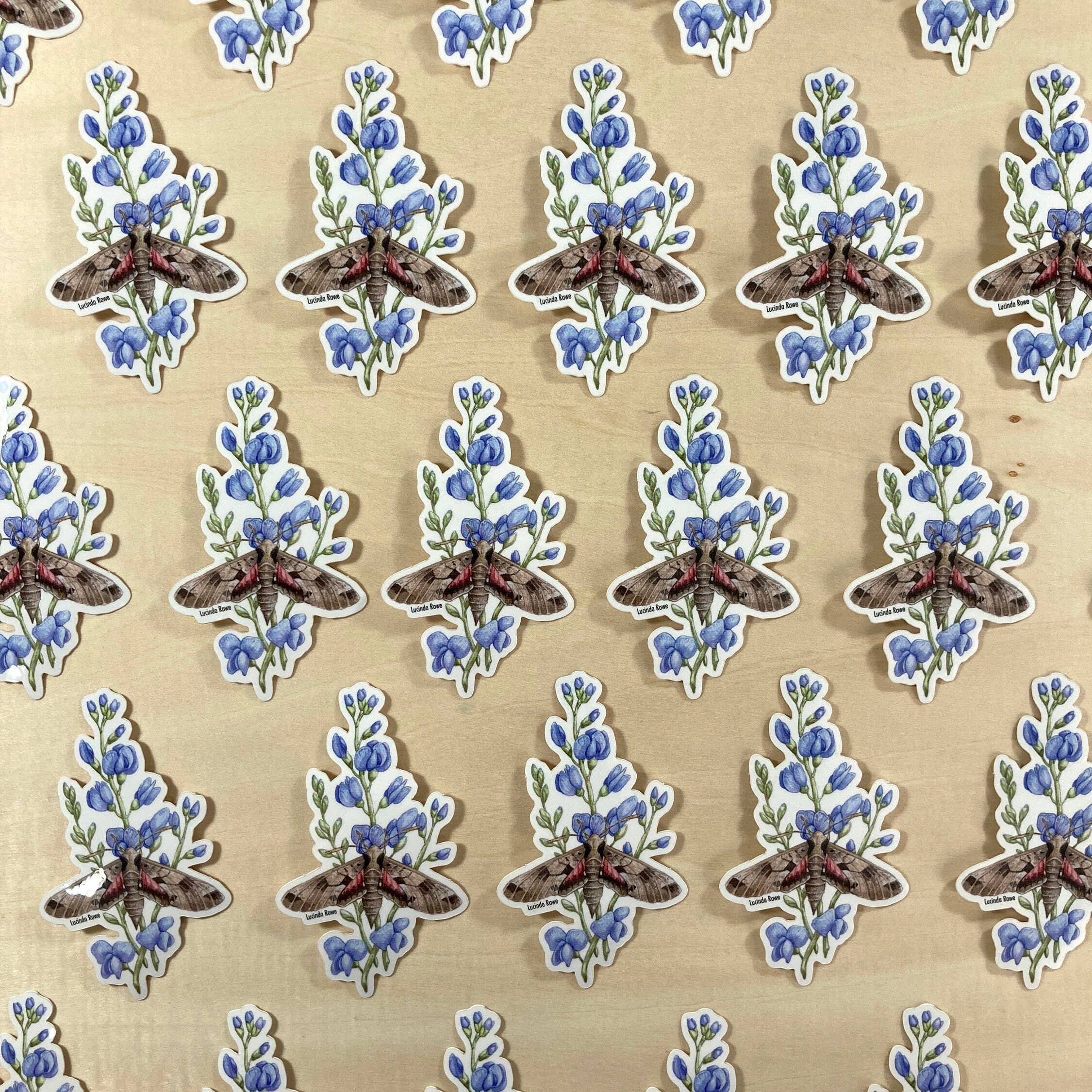 Lucinda Rowe Art - Wholesale Sticker - Sticker - Achemon Sphinx Moth On Wild Indigo1